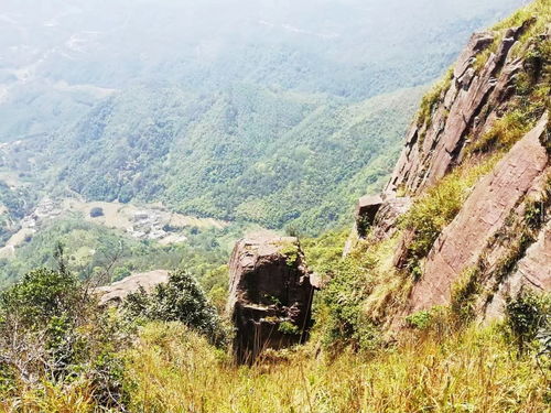 岑溪風(fēng)物 意動身臨湖廣頂,雄山萬仞踏云行